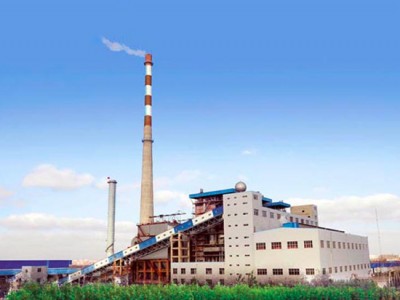 Longkou Jiayuan Dongsheng Thermal Power Plant Heat Supply Project-Rubber Joint