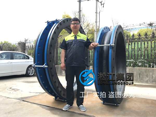 Anhui Huaihua Co., Ltd.-Flanging Rubber Joints 5