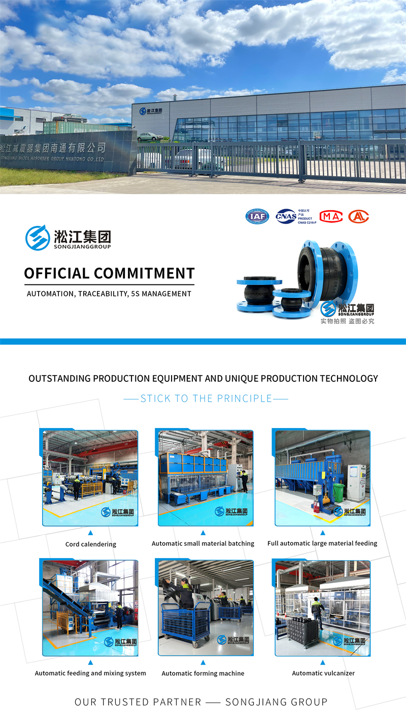 Jiangyin Chengxing Complex Project-Spring Shock Absorber