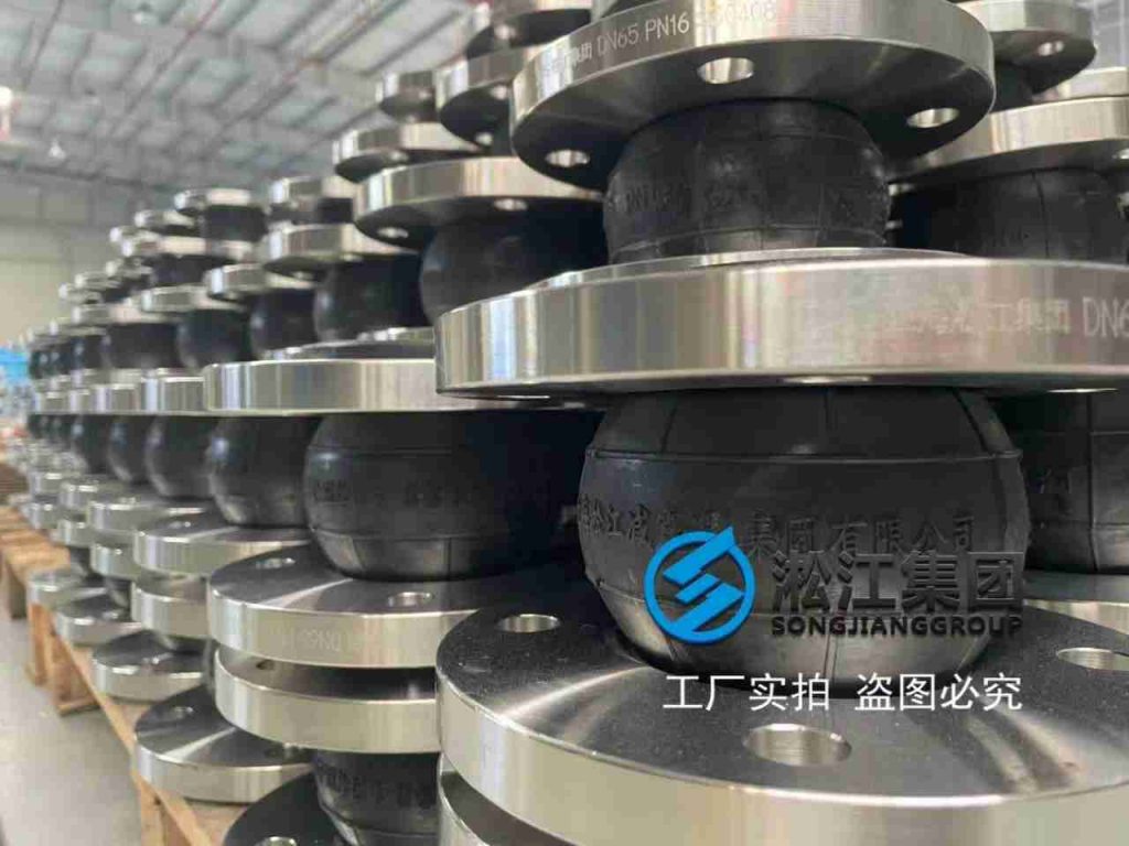 DN65 Rubber Expansion Joint